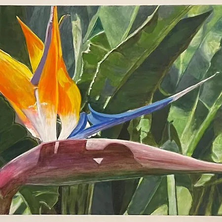 Casa Olas * פאלם-מאר