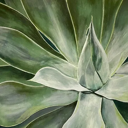 Casa Olas פאלם-מאר