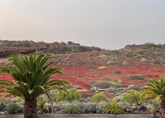 Casa Olas דירה פאלם-מאר