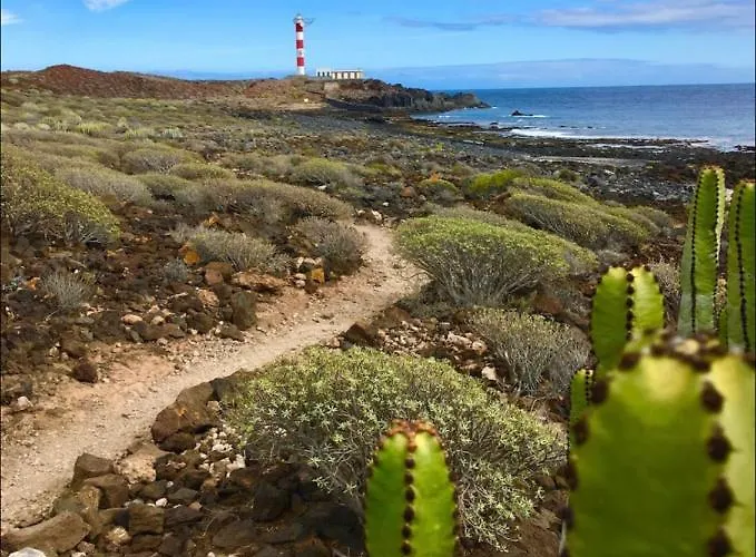Casa Olas דירה פאלם-מאר