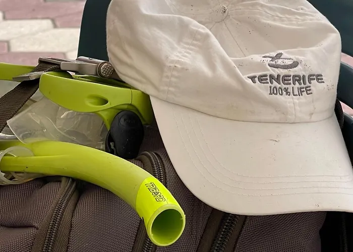 Casa Olas דירה פאלם-מאר