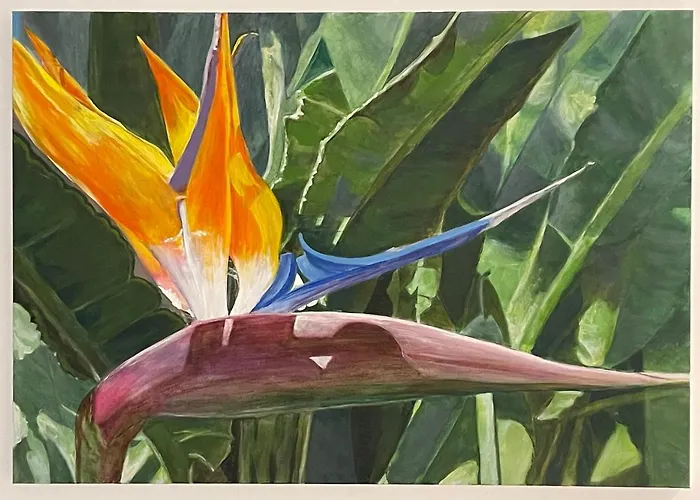 Casa Olas * 팔름-마르